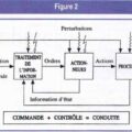 Schéma général des processus d’action.