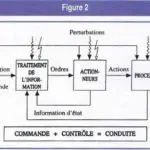 Schéma général des processus d’action.
