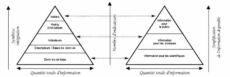Les triangles de l'information