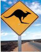 Panneau kangoorou en Australie