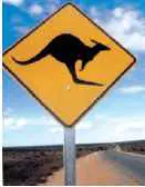 Panneau kangoorou en Australie