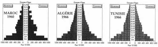Les pyramides des âges du Maghreb pendant les années 1960