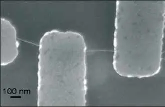 Structure de type transistor à nanotube de carbone :