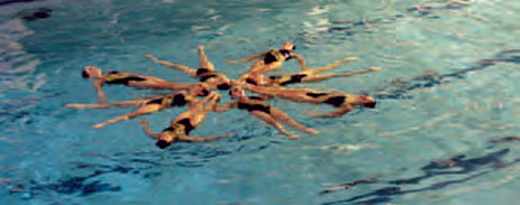 Spectacle de natation synchronisée. Ecole polytechnique 2004