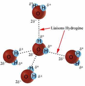 Une molécule d'eau H2O