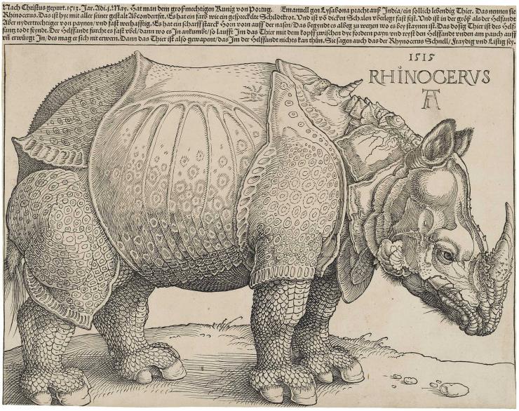 Le rhinocéros de Dürer