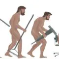 Evolution de l'espèce humaine jusqu'à l'intelligence artificielle