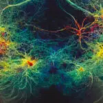 Vue d’artiste d’un réseau de neurones artificiel mimant l’apprentissage par le cerveau humain.