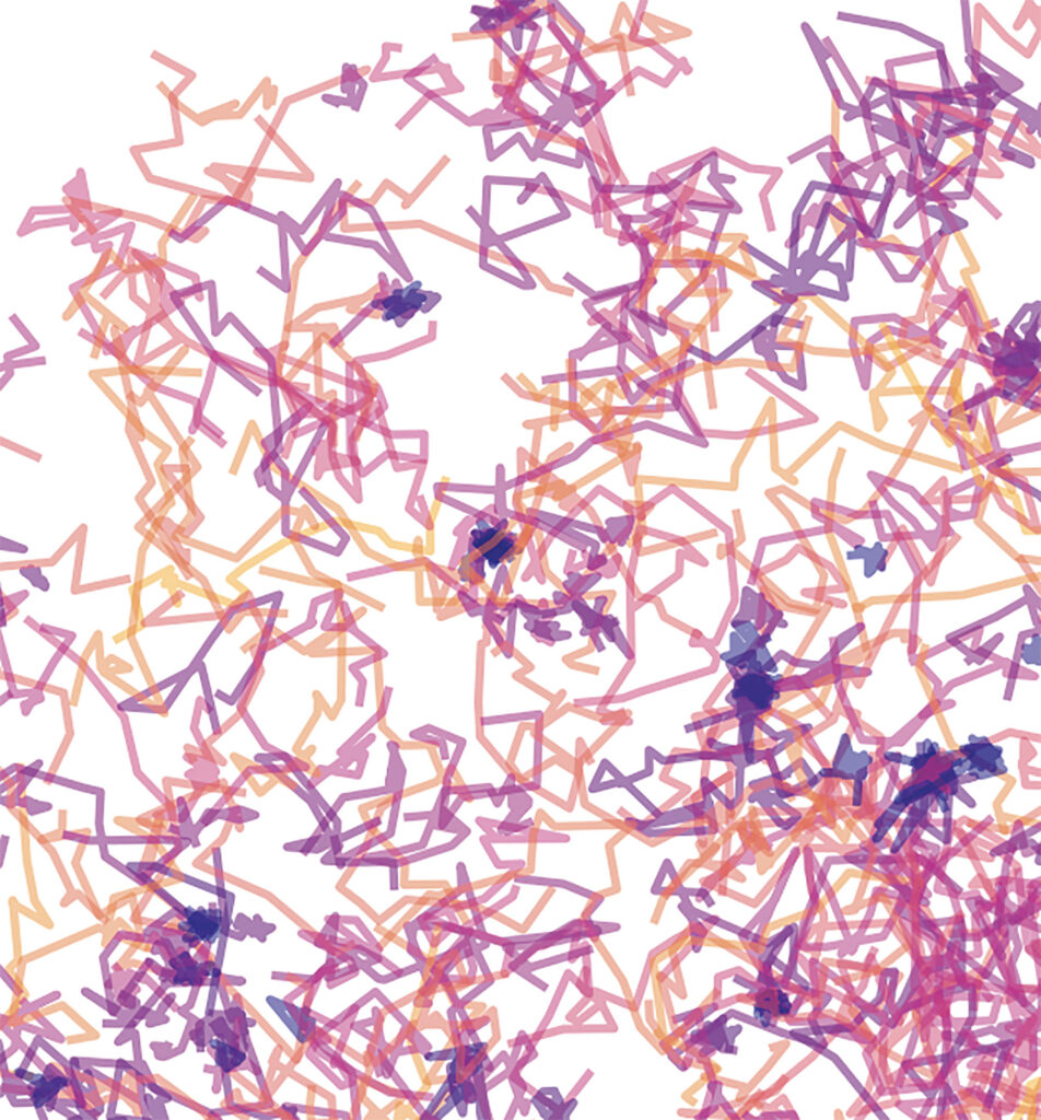 Trajectoires de protéines à la membrane d’une cellule. Les moins mobiles sont en bleu, les plus rapides en jaune. Toutes les protéines sont du même type. © Hippolyte Verdier