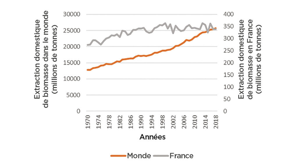 Évolution de la biomasse vivante extraite (cultures, bois, chasse et pêche) en France (ligne grise) et dans le monde (ligne orange). Source : Global Material Flows Database, International Resource Panel.