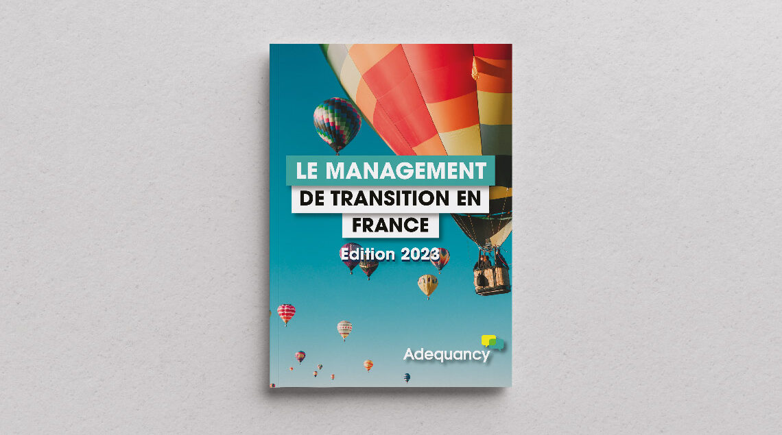 Le management de transition en France