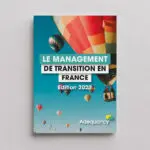 Le management de transition en France