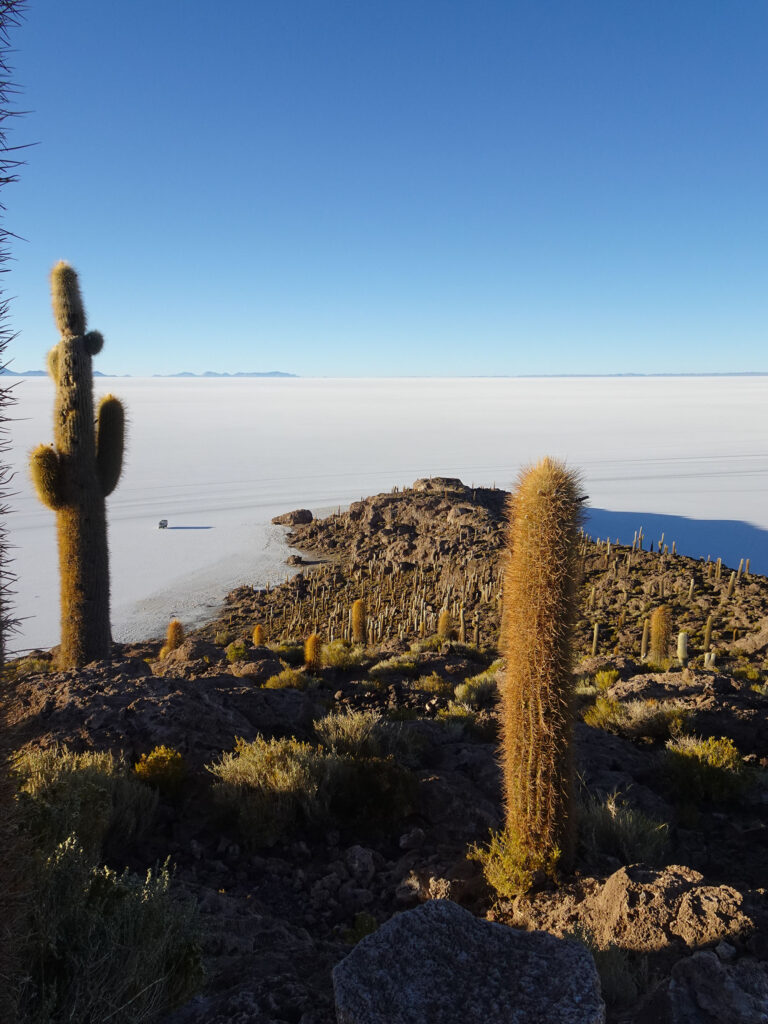 Incahuasi et ses milliers de cactus surplombent le désert de sel.