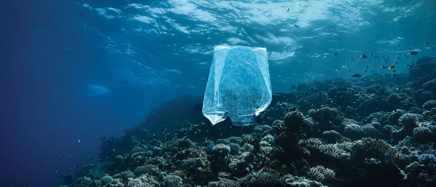 Plus aucun lieu n’est épargné par la pollution plastique. Même sur des zones très éloignées, comme ici dans le sud de la mer Rouge en Égypte, les sachets plastiques virevoltent au-dessus des récifs coralliens. © Éric Brun