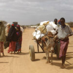 Septembre 2011, des familles somaliennes quittent leurs maisons à cause d’une sécheresse mortelle.